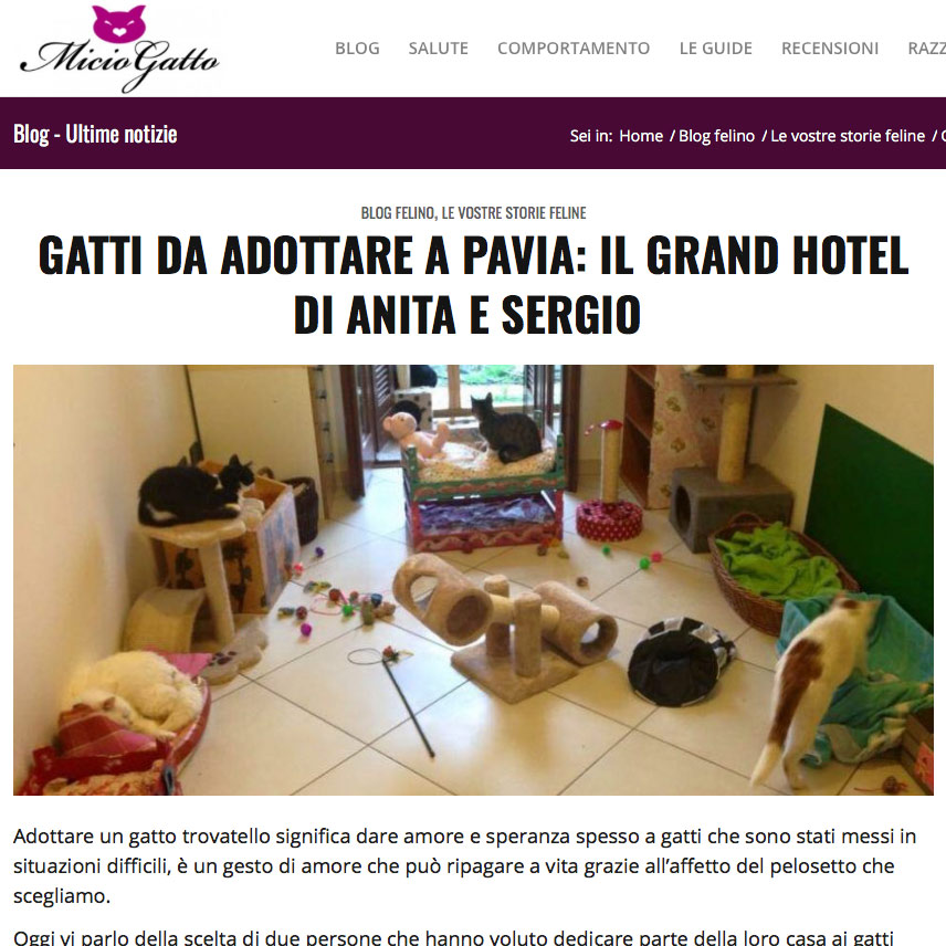 grand-hotel-miciogatto