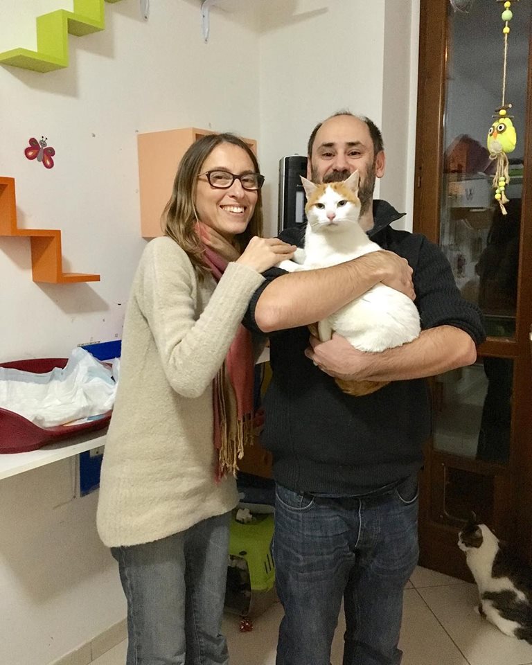 Foto di Angelino: gatto bianco con orecchie e coda rossa. Con la sua nuova famiglia.