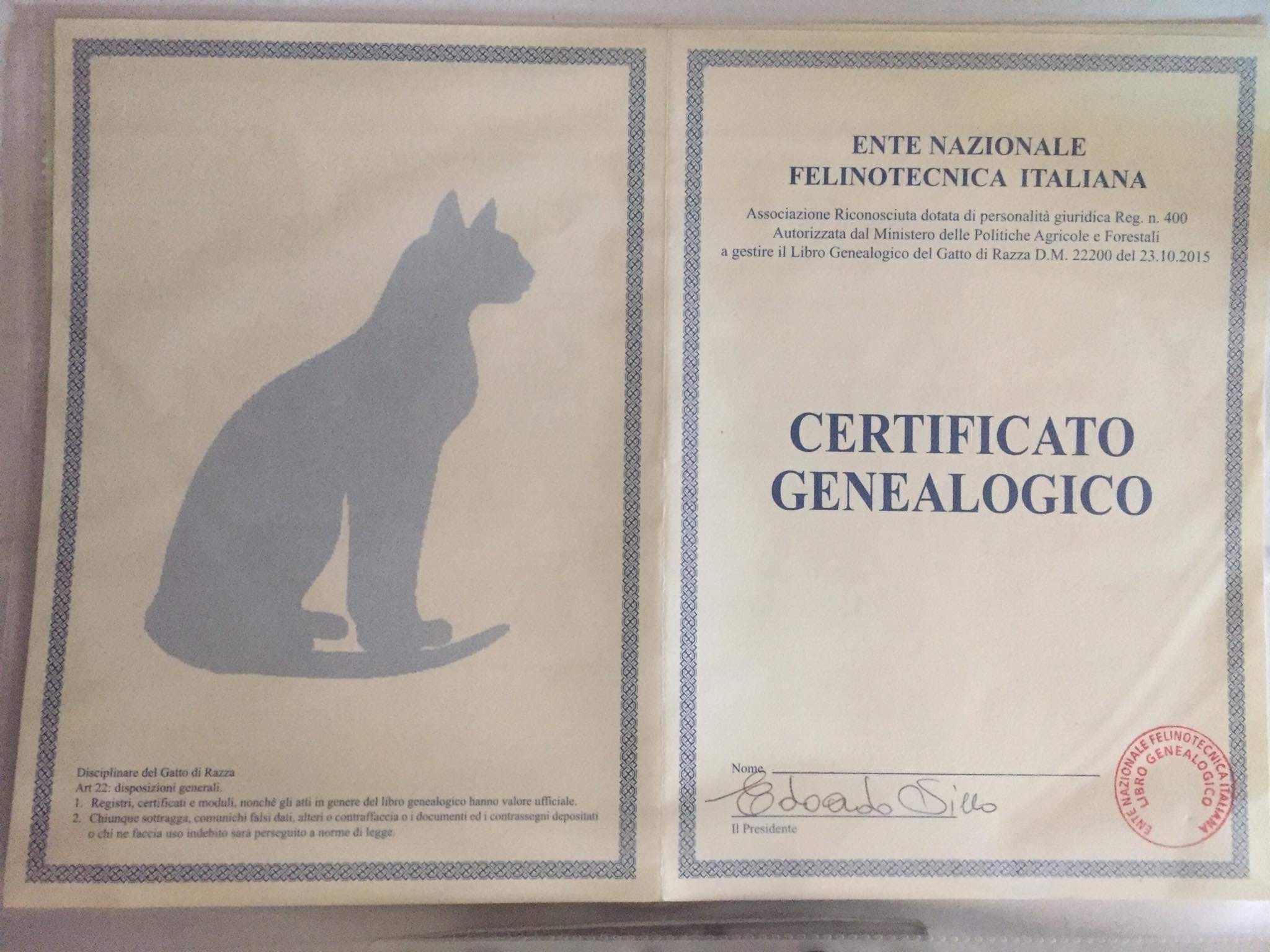 esempio pedigree gatto cane cucciolo