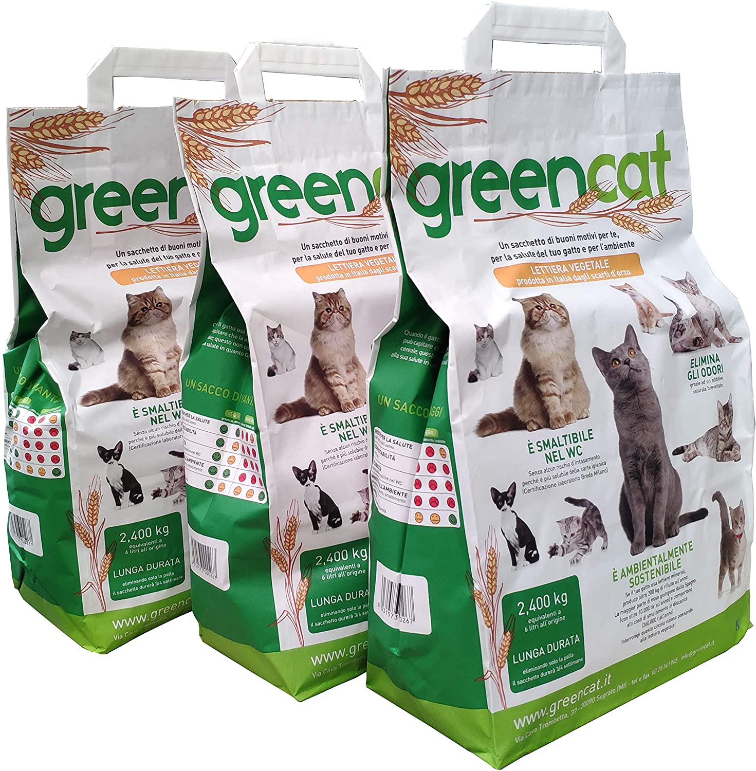 Perché nessuno compra più la lettiera tradizionale? Scopriamo le