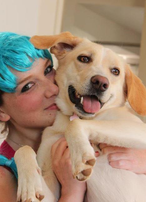 parvovirus cani gatti gastroenterite vaccino sintomi (3)
