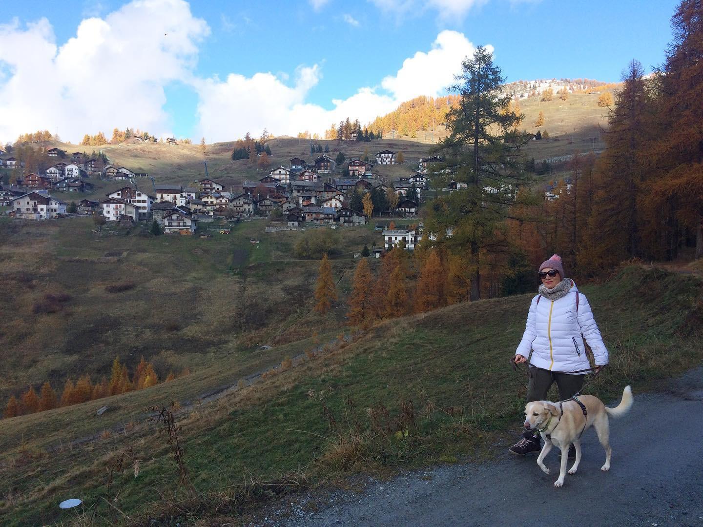 in vacanza con il cane in montagna 11