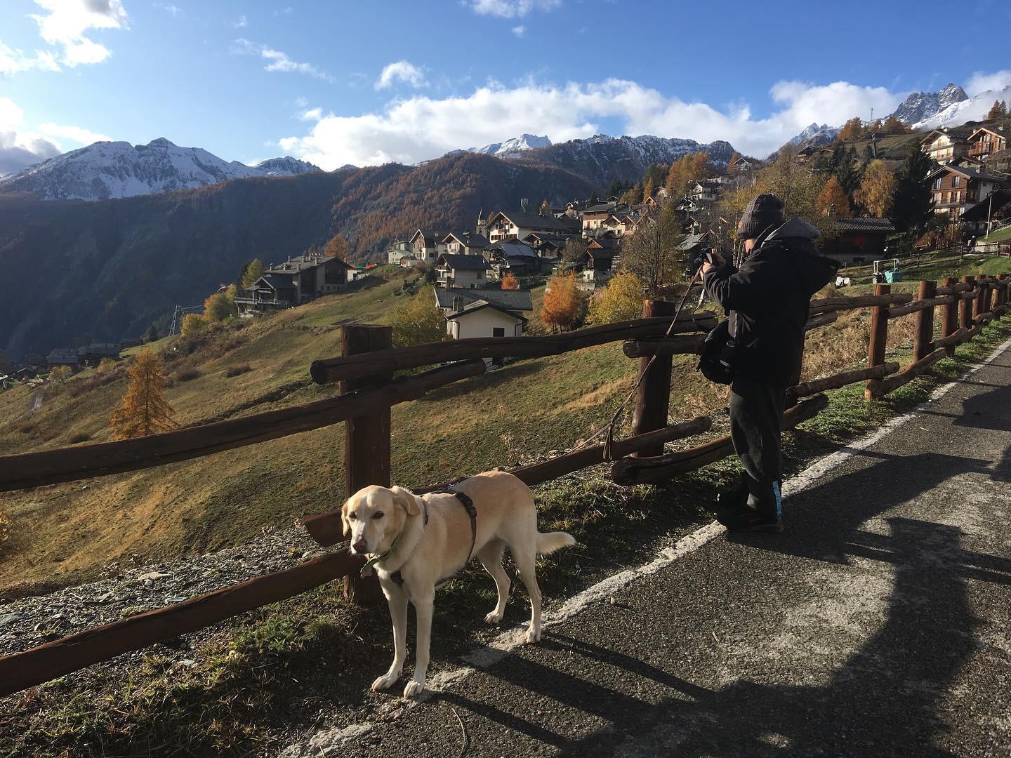 in vacanza con il cane in montagna 3