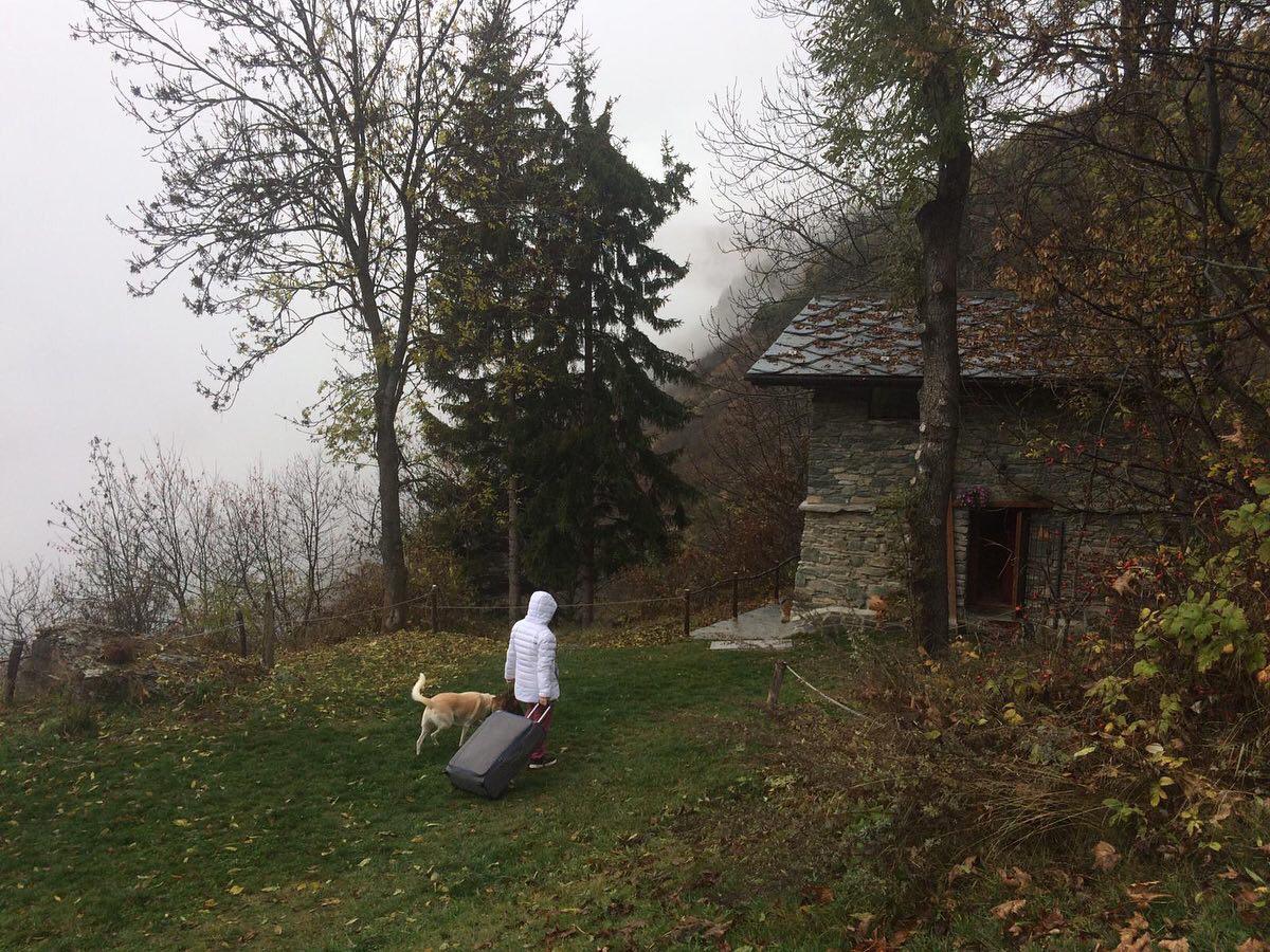 in vacanza con il cane in montagna 