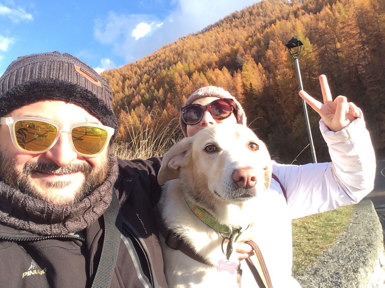 in vacanza con il cane in montagna 5