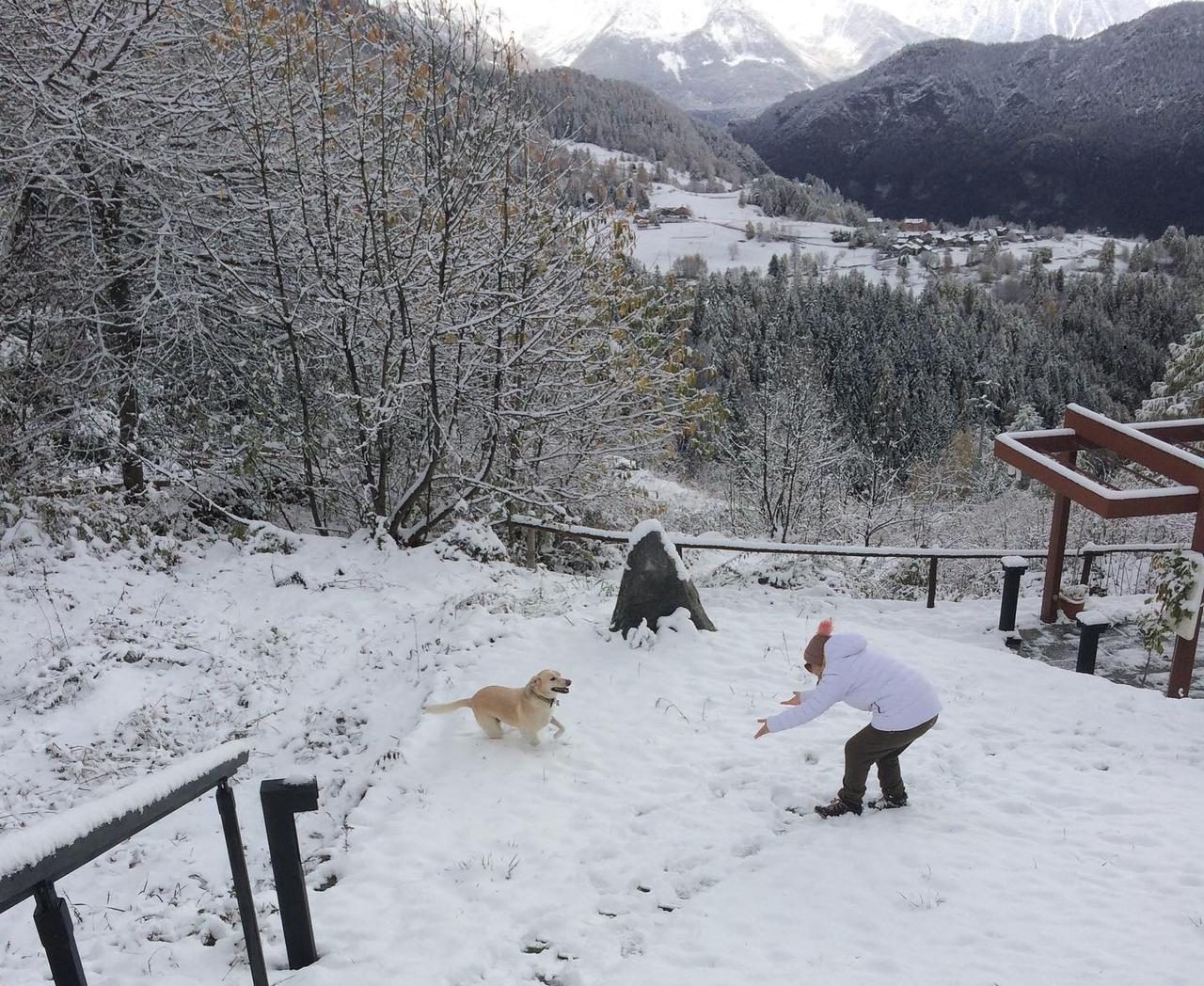 in vacanza con il cane in montagna 