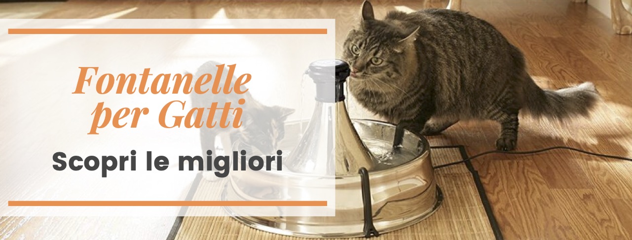 migliori fontanelle per gatto